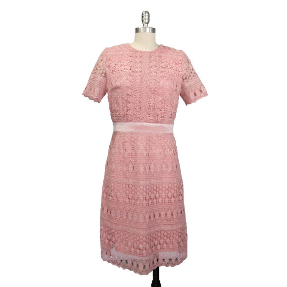 Rachel Parcell Pink Lace Sheath Dress Size S Velvet Coquette Crochet Pencil - Picture 2 of 10
